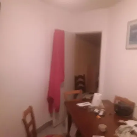 Séjour chez l'habitant Scholcher Lyon